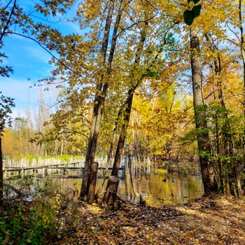 The Wilma H. Schiermeier Olentangy River Wetland Research Park
