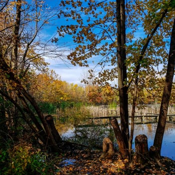 The Wilma H. Schiermeier Olentangy River Wetland Research Park