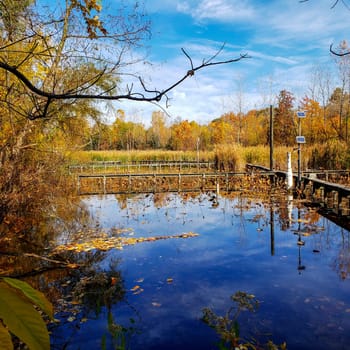 The Wilma H. Schiermeier Olentangy River Wetland Research Park