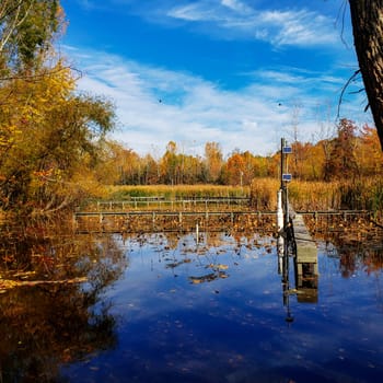 The Wilma H. Schiermeier Olentangy River Wetland Research Park