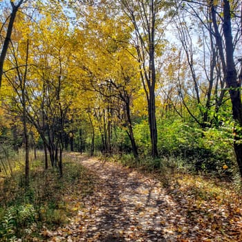 The Wilma H. Schiermeier Olentangy River Wetland Research Park