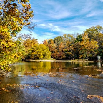 The Wilma H. Schiermeier Olentangy River Wetland Research Park