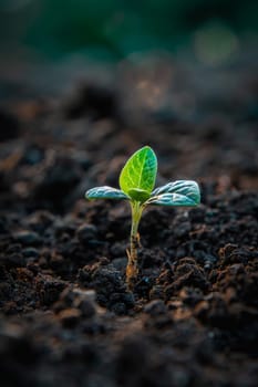 Young sprout growing in the soil cad. selective focus. Generative AI, nature