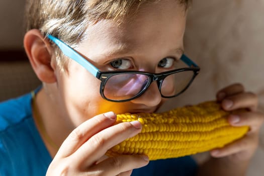 A happy cute Caucasian boy with glasses eats boiled corn on the cob and looks at the camera over his glasses . Healthy food. Healthy vegetables