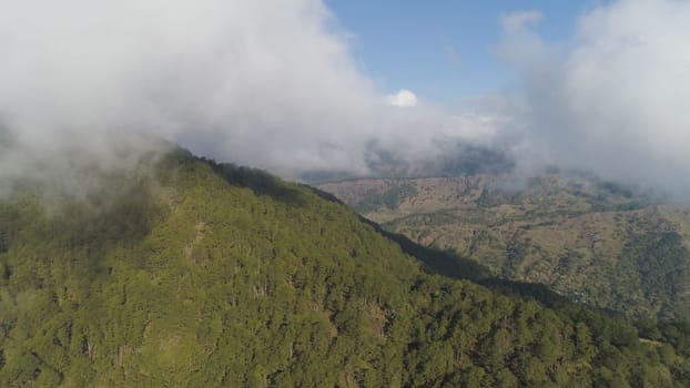 Aerial view of mountains covered forest, trees in clouds and fog. Cordillera region. Luzon, Philippines. Slopes of mountains with evergreen vegetation. Mountainous tropical landscape.