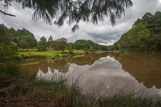 Trees and clouds reflecting on a peaceful trout dam near Haenertsburg, Limpopo Province, South Africa