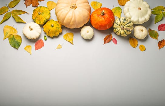 Thanksgiving or fall festive composition with different assorted pumpkins and autumn yellow leaves on light gray background top view. Copy space..