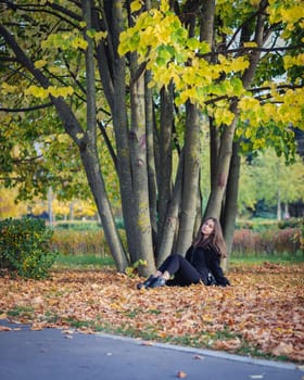 A beautiful girl sits by a tree on fallen leaves in an autumn park