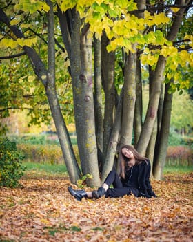 A beautiful girl sits by a tree on fallen leaves in an autumn park