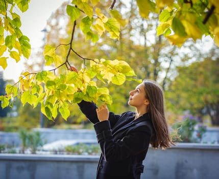 A beautiful girl looks at yellow leaves on a branch in an autumn park