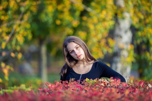 Portrait of a beautiful girl near a red-yellow bush in an autumn park