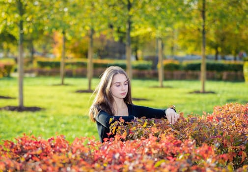 Portrait of a beautiful girl near a red-yellow bush in an autumn park