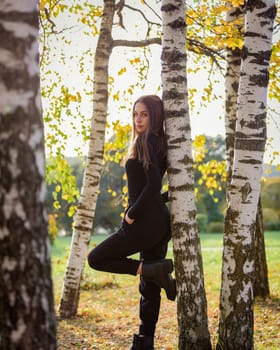 A beautiful girl posing near a birch tree in an autumn park