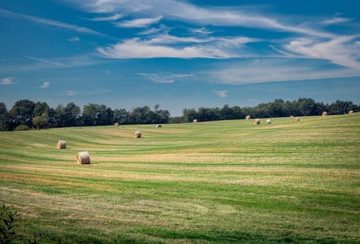 A serene countryside scene featuring hay bales scattered across a lush green field beneath a clear blue sky. The landscape exudes tranquility and rural charm, perfect for agriculture themes