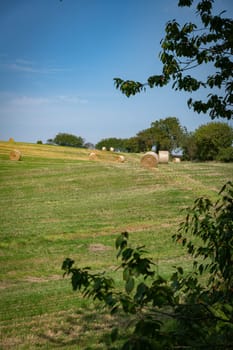 A serene countryside scene featuring hay bales scattered across a lush green field beneath a clear blue sky. The landscape exudes tranquility and rural charm, perfect for agriculture themes