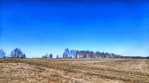 A vast, brown field stretches under bright blue sky, indicating early spring in a tranquil rural landscape