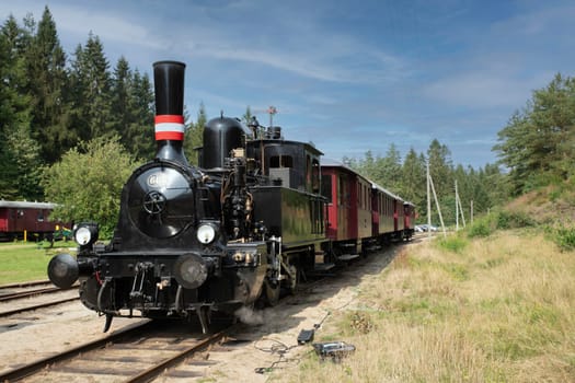 A classic steam locomotive travels through a beautiful forest setting, showcasing vintage transportation and the charm of rail travel. Perfect for historical and nostalgic themes in vrads,denmark