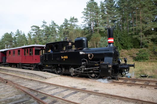 vrads,denmark,08-09-2024:A historic steam train from Vrads to Bryrup in denmark,with red carriages travels through a lush forest. The antique locomotive evokes a sense of nostalgia and adventure in a tranquil natural setting