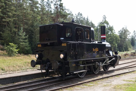 vrads,denmark,08-09-2024:A classic steam locomotive travels through a scenic forest track, showcasing historical engineering and transportation. The lush greenery adds to the charm and nostalgic feel on vrad station in denmark,