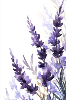 Flowers painted with purple watercolor on white background. High quality photo