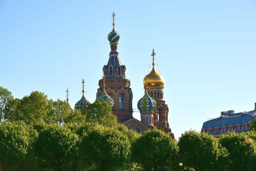 View of the domes of the Church of Savior on Blood from behind trees