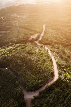 Top view from a drone of a stunning beautiful road, green forests and valleys, mountains, the way to the Masca Gorge, canyon in Tenerife, the Canary Islands in the Atlantic Ocean.