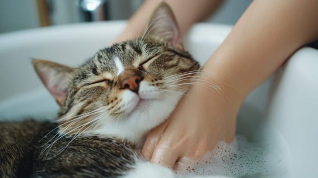 cat enjoying relaxing bath with gentle washing by person.