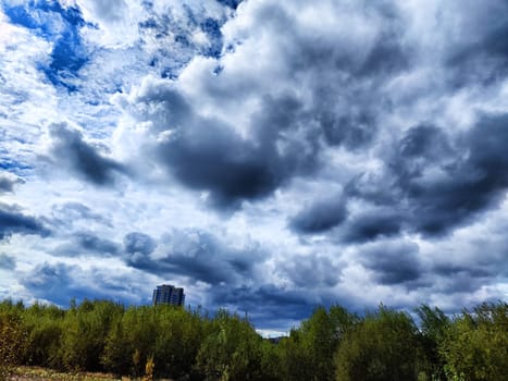 A wide, green pathway stretches between trees, with a bright blue sky filled with fluffy clouds above.