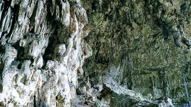 A rocky cliff with green plants growing on it. The plants are growing on the side of the cliff, and the cliff is covered in moss. The scene is peaceful and serene
