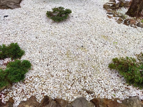 This garden showcases an expanse of white stones interspersed with small green shrubs, creating a peaceful atmosphere.