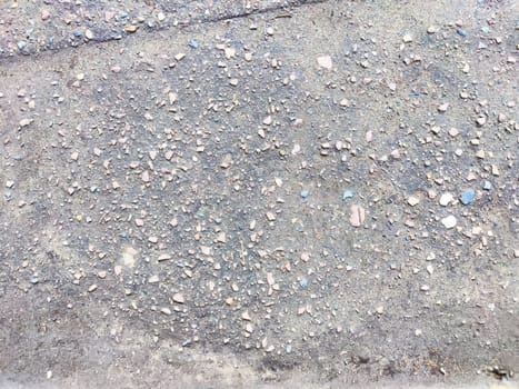 The ground shows a textured surface scattered with small stones and gravel, absorbing soft midday light, creating an earthy ambiance.