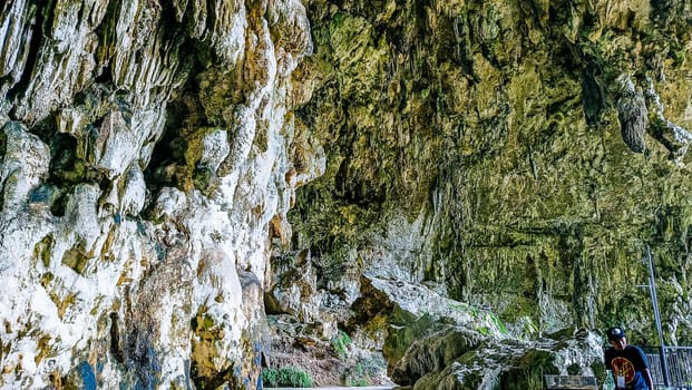 A rocky cliff with green plants growing on it. The plants are growing on the side of the cliff, and the cliff is covered in moss. The scene is peaceful and serene