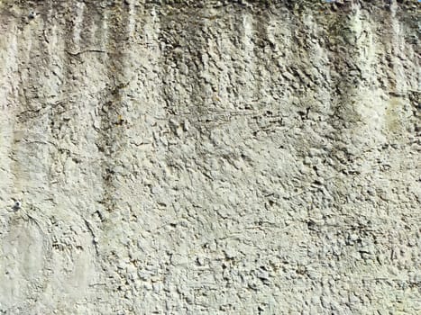 A rough concrete wall displays intricate textures and patterns under natural light.
