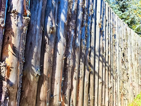 The textured wooden fence showcases weathering, shadows, and natural light illuminating the rustic panels in a peaceful atmosphere.