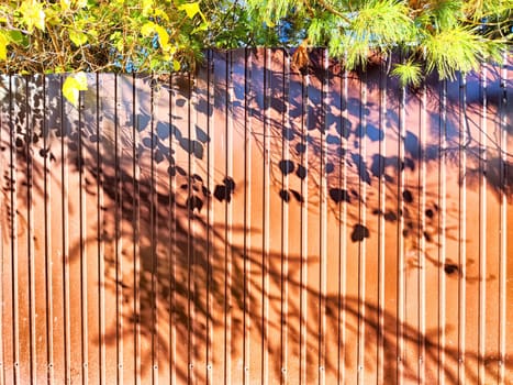 The warm sunlight filters through leaves, creating beautiful shadows on a rust-colored fence, surrounded by rich greenery in daylight.
