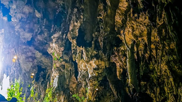 A rocky cliff with green plants growing on it. The plants are growing on the side of the cliff, and the cliff is covered in moss. The scene is peaceful and serene