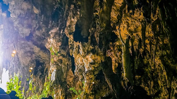 A rocky cliff with green plants growing on it. The plants are growing on the side of the cliff, and the cliff is covered in moss. The scene is peaceful and serene