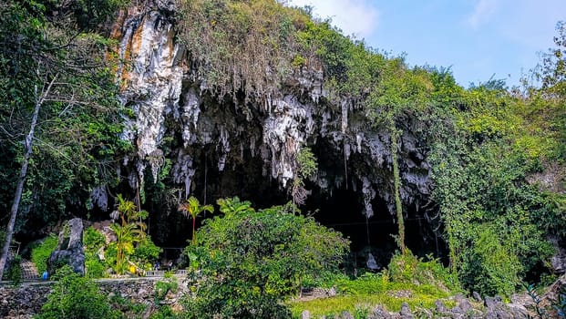 A rocky cliff with green plants growing on it. The plants are growing on the side of the cliff, and the cliff is covered in moss. The scene is peaceful and serene
