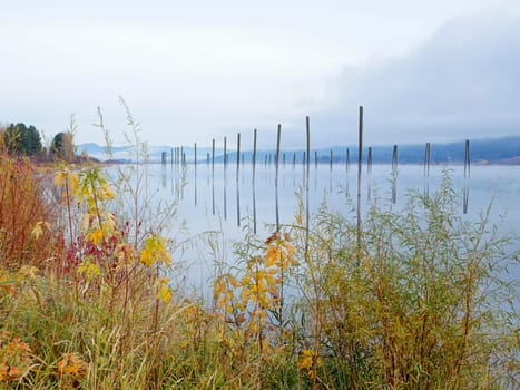 Looking out over the fall foliage at the calm Pend Oreille River under an overcast sky in eastern Washington.