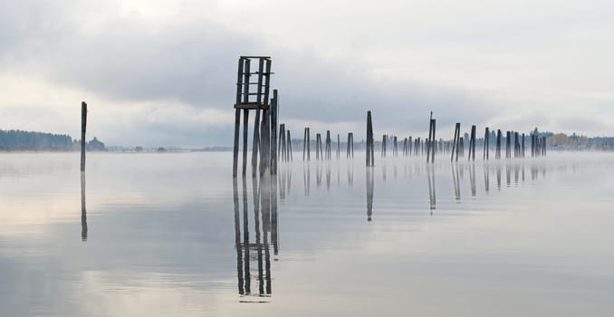 A panorama landscape morning photo of wood pilings in the calm Pend Oreille River under and overcast sky in eastern Washington.