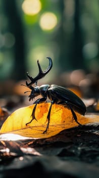 Close up of a majestic stag beetle with prominent mandibles perched on a vibrant golden autumn leaf, showcasing nature's intricate details against a soft focus background.