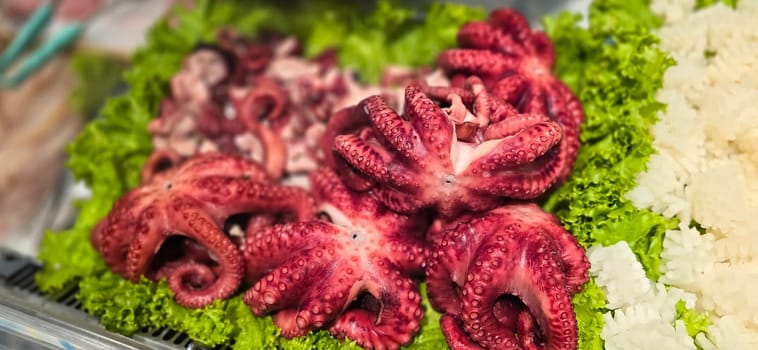Fresh octopus arranged on a bed of lettuce at a seafood market. Vibrant colors highlight the octopus's texture, creating an enticing display for seafood enthusiasts, good for recipe book and content creation