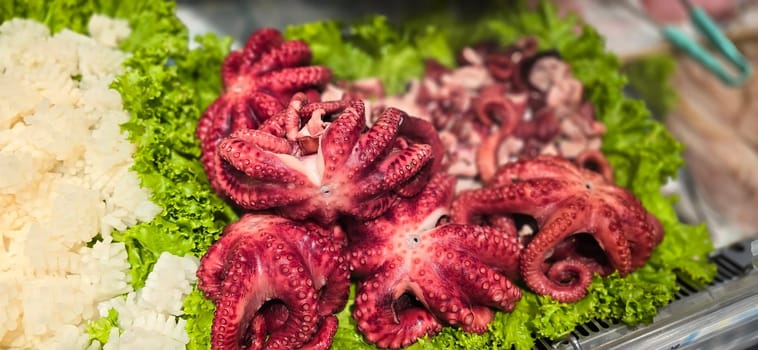 Fresh octopus arranged on a bed of lettuce at a seafood market. Vibrant colors highlight the octopus's texture, creating an enticing display for seafood enthusiasts, good for recipe book and content creation