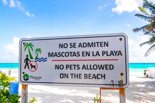Information and no pets allowed signs on the beach in Playa del Carmen Quintana Roo Mexico.