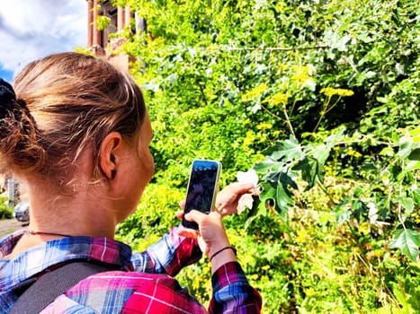 Someone captures detailed photo of lush leaves against a bright background while enjoying the outdoors