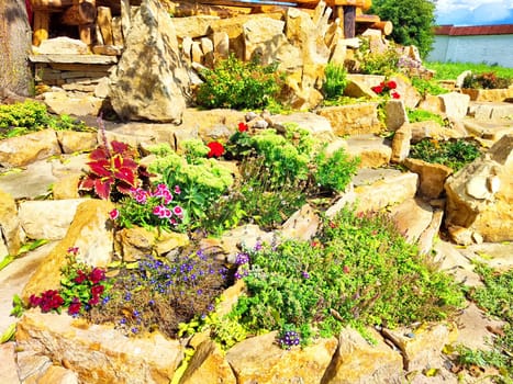 A colorful display of flowers thrives among large stones in a charming outdoor garden, illuminated by bright sunlight.