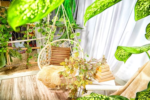 Modern cozy beautiful room with a braided rope macrame swing, chair, green plants, small table and curtains. Interior and background. Location for photo shooting