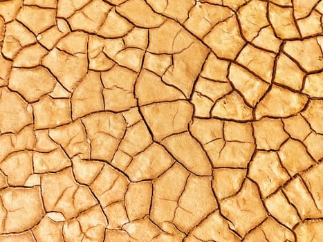 The ground displays intricate patterns of dry, cracked soil resulting from a prolonged drought in bright daylight.
