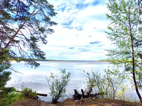 A serene view of a calm lake bordered by trees under a bright blue sky.
