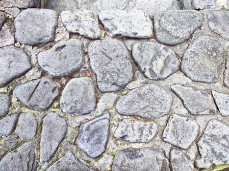 A textured pathway made of stones showing signs of wear and plant growth.